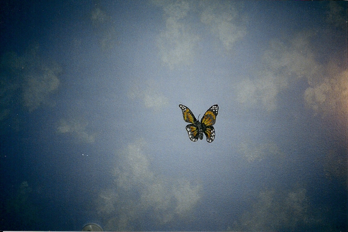 Clouds w Butterflies